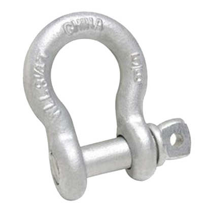 Anchor Shackles